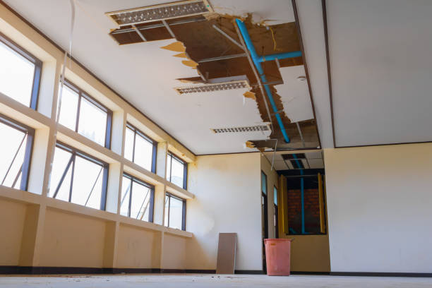 Best Water damage restoration cost  in Mill Valley, CA