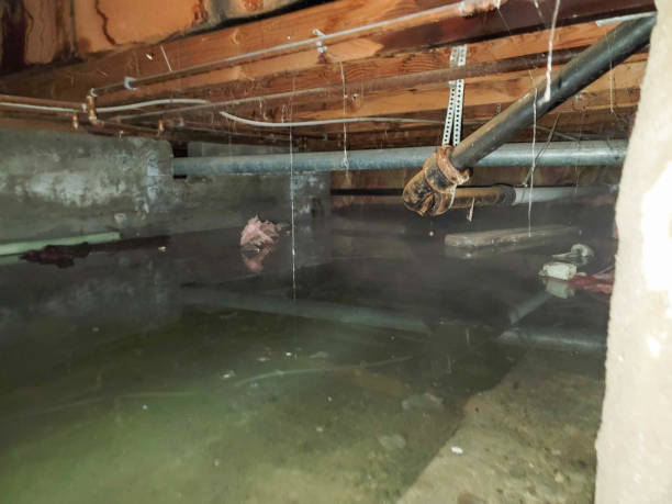 Best Commercial water damage restoration  in Mill Valley, CA