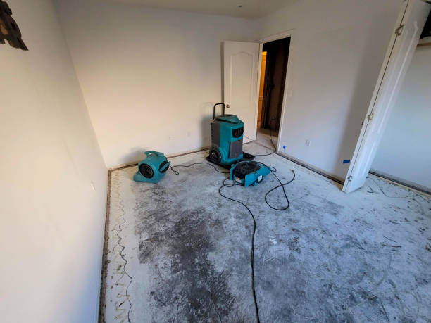 Best Local water damage restoration  in Mill Valley, CA