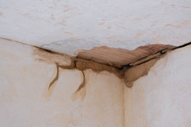 Best Flood restoration services  in Mill Valley, CA
