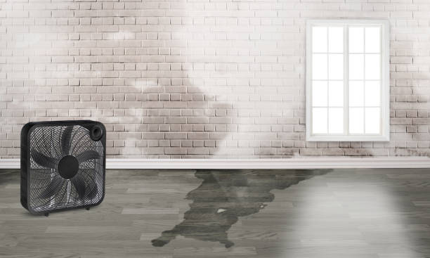 Best 24-hour water damage restoration  in Mill Valley, CA
