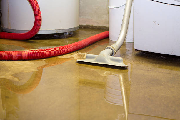 Best Water damage restoration near me  in Mill Valley, CA