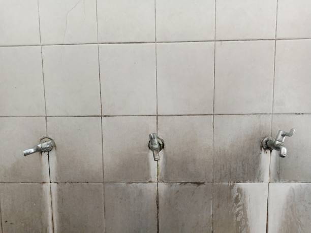 Best Mold removal after water damage  in Mill Valley, CA