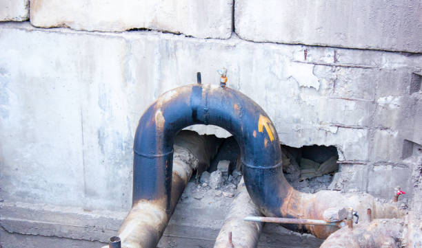 Best Flood damage cleanup  in Mill Valley, CA