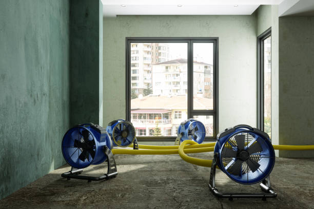 Best Water damage cleanup near me  in Mill Valley, CA
