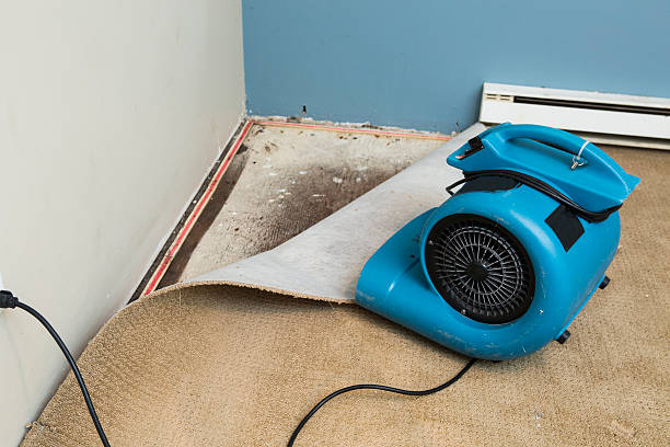 Best Water damage cleanup near me  in Mill Valley, CA